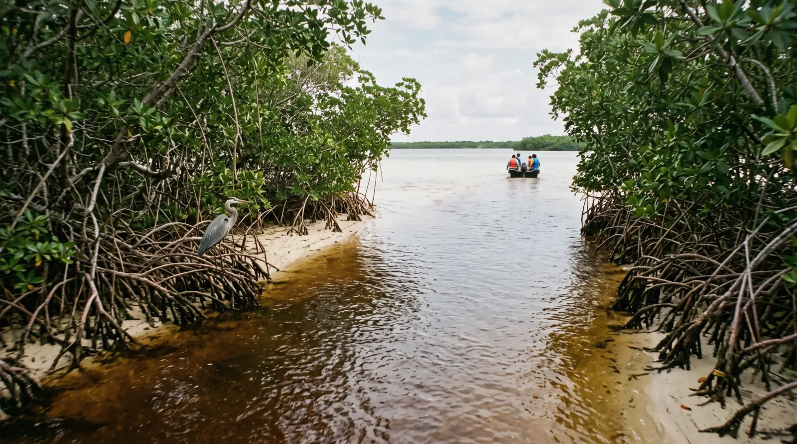 Mangrove channel opening into the lagoon in the Sian Ka'an biosphere reserve near Tulum, Tulum Mexico